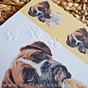 Boxer Dog Card Simply Elegant Range (Close Up)